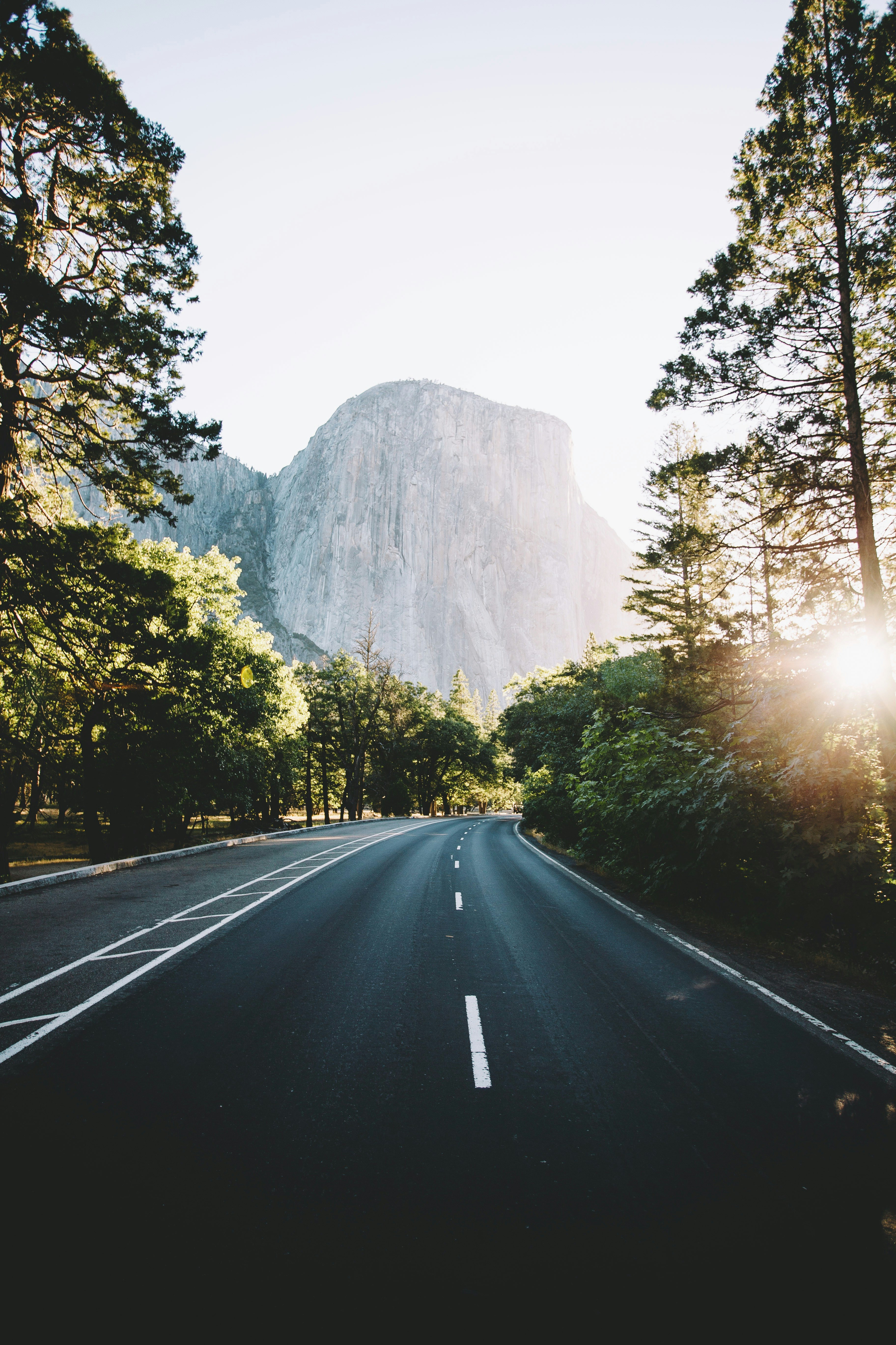 black asphalt road between green trees during daytime